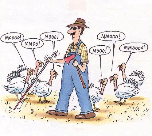 www.whalercentral.com/forum/attachments/turkey.jpg