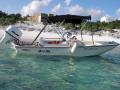 Boston Whaler - 1992 Sport 13' GLS