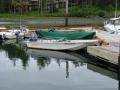 Boston Whaler - Roche Harbor-4