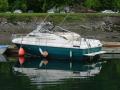 Boston Whaler - Roche Harbor-9
