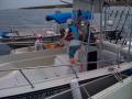 Boston Whaler - Whaler flotilla