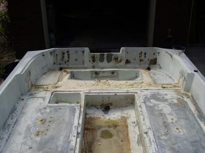 Boston Whaler - feeling flush