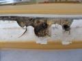 Boston Whaler - Rub Rail-2