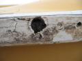 Boston Whaler - Rub Rail-3