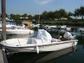 Boston Whaler - side view
