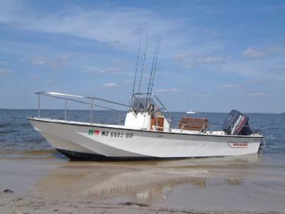 Boston Whaler - 1982 Montauk 17'